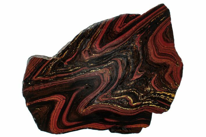 Polished Tiger Iron Stromatolite Slab - Billion Years #279766